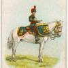 Drum horse of the mounted band of the Royal Artillery.