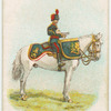 Drum horse of the mounted band of the Royal Artillery.