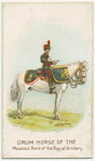 Drum horse of the mounted band of the Royal Artillery.