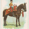 Drum horse of the Royal Horse Guards.