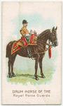 Drum horse of the Royal Horse Guards.