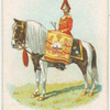 Drum horse of the 6th, Inniskilling Dragoons.
