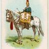 Drum horse of the 6th, Dragoon Guards (the Carabiniers).