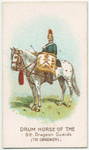 Drum horse of the 6th, Dragoon Guards (the Carabiniers).
