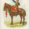 Drum horse of the 8th King's Royal Irish Hussars.
