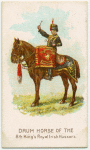Drum horse of the 8th King's Royal Irish Hussars.