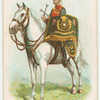 Drum horse of the 5th Royal Irish Lancers.
