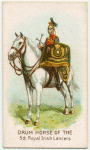 Drum horse of the 5th Royal Irish Lancers.