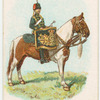 Drum horse of the Queen's Own Hussars.