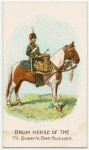 Drum horse of the Queen's Own Hussars.