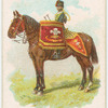 Drum horse of the 10th, Prince of Wales's Own Hussars.