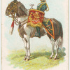 Drum horse of the 11th, Prince Albert's Own Hussars.
