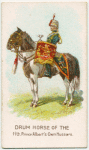 Drum horse of the 11th, Prince Albert's Own Hussars.