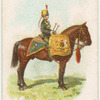 Drum horse of the 4th, Queen's Own Hussars.