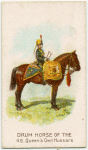 Drum horse of the 4th, Queen's Own Hussars.