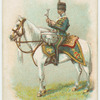 Drum horse of the 3rd, King's Own Hussars.