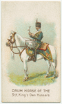 Drum horse of the 3rd, King's Own Hussars.