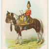Drum horse of the 7th, Princess Royal's Dragoon Guards.