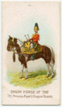 Drum horse of the 7th, Princess Royal's Dragoon Guards.