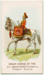 Drum horse of the 5th, Princess Charlotte of Wales's Dragoon Guards.