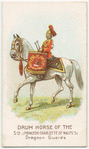 Drum horse of the 5th, Princess Charlotte of Wales's Dragoon Guards.