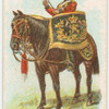 Drum horse of the 16th, Queen's Lancers.