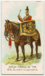 Drum horse of the 16th, Queen's Lancers.