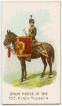 Drum horse of the 15th King's Hussars.