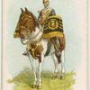 Drum horse of the 17th, Duke of Cambridge's Own Lancers.