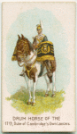 Drum horse of the 17th, Duke of Cambridge's Own Lancers.