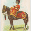 Drum horse of the 2nd Dtragoons, Royal Scots Greys.