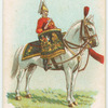 Drum horse of the 1st, King's Dragoon Guards.