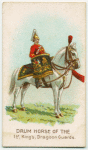 Drum horse of the 1st, King's Dragoon Guards.