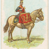 Drum horse of the 9th, Queen's Royal Lancers.