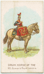 Drum horse of the 9th, Queen's Royal Lancers.