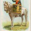 Drum horse of the 12th, Princess of Wales Royal Lancers.