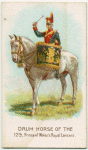 Drum horse of the 12th, Princess of Wales Royal Lancers.