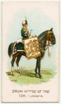 Drum horse of the 13th, Hussars.