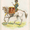 Drum horse of the 20th, Hussars.
