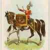 Drum horse of the 1st, Royal Dragoons.