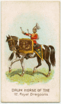 Drum horse of the 1st, Royal Dragoons.