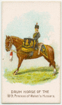 Drum horse of the 18th, Princess of Wales's Hussars.