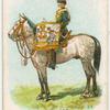 Drum horse of the 19th Queen Alexandra's Own Hussars.