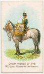 Drum horse of the 19th Queen Alexandra's Own Hussars.