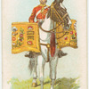 Drum horse of the 3rd, Prince of Wales's Dragoon Guards.