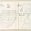 Plate 8: Map No. 238, Bounded by Mott Haven on the south, Melrose on the north, Third Avenue or Old Boston Road on the east, and the Harlem Railroad on the west. - Map No. 265: Bounded on the west by Morrisania New Village, and on the south and east by Woodstock, in the township of West Farms, Westchester County, N.Y. - Map No. 257: Bounded on the west by Morrisania New Village, and on the south and east by Woodstock in the township of West Farms, Westchester County, N.Y.
