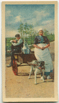 Carting the milk to the village, Bunschotten.