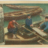 The catch, Volendam.