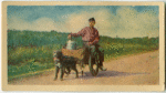 Milkman on dog-cart, Bunschotten.