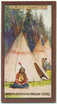North American Indian tents.